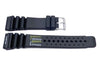 Black Citizen Style Resin Watch Band P3083