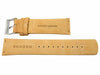 Genuine Skagen SKW6183 Tan Genuine Leather 23mm Watch Strap image